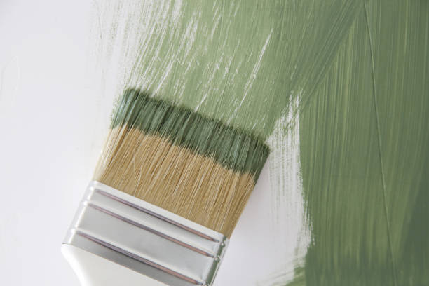 Trusted Sardis City, AL Mold Removal Experts