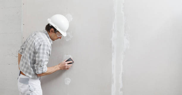 Best Post-Construction Mold Inspection  in Sardis City, AL