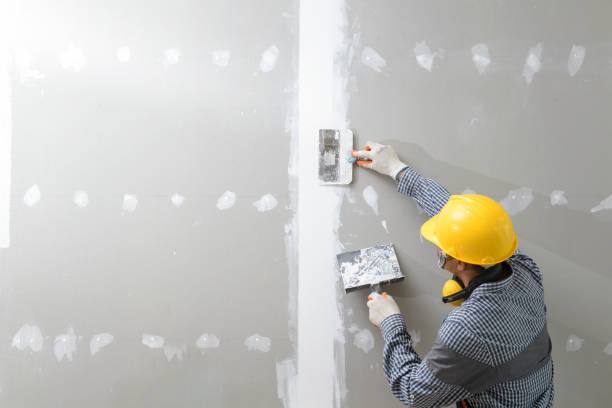 Best Black Mold Removal  in Sardis City, AL