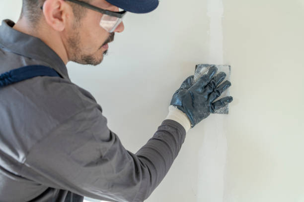 Best Asbestos and Lead Testing During Mold Inspection  in Sardis City, AL