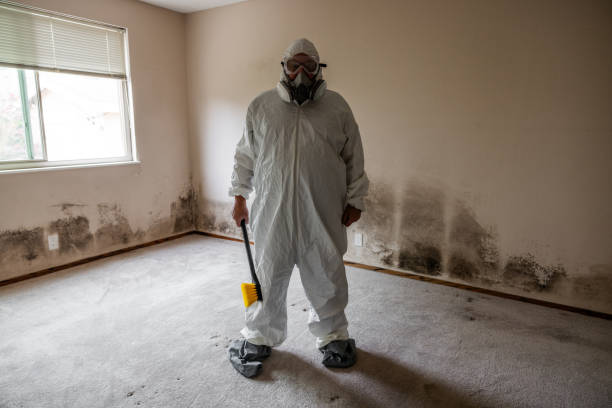 Best Mold Removal for HVAC Installations  in Sardis City, AL