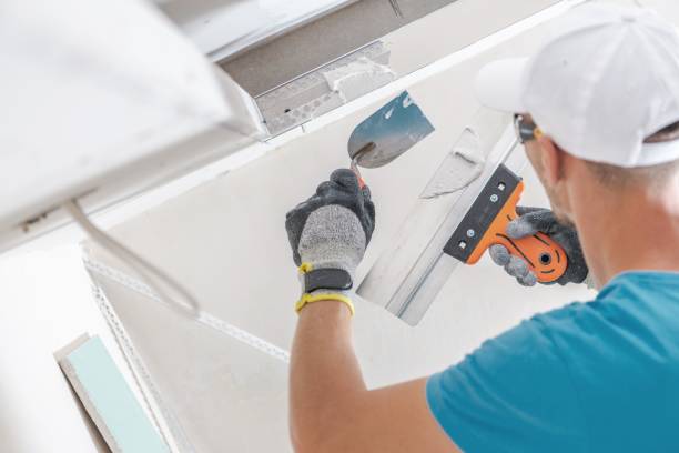 Best Forensic Mold Investigation  in Sardis City, AL
